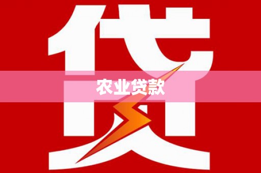 湖内农业贷款