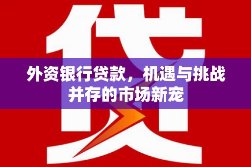 东台外资银行贷款，机遇与挑战并存的市场新宠