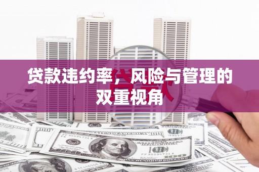 三义贷款违约率，风险与管理的双重视角