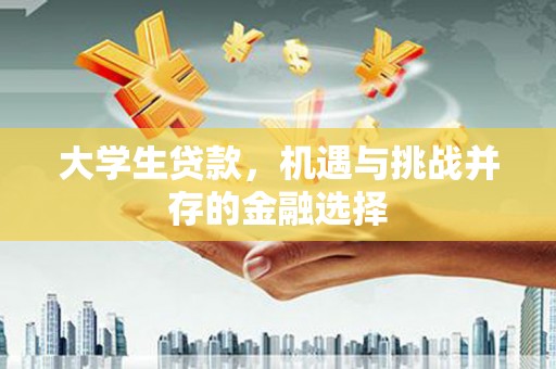 武义大学生贷款，机遇与挑战并存的金融选择