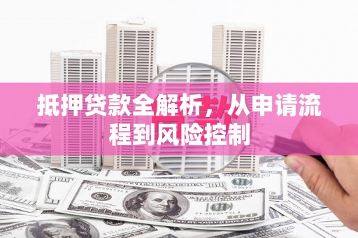 贞丰抵押贷款全解析，从申请流程到风险控制