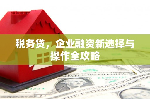 安乡税务贷，企业融资新选择与操作全攻略