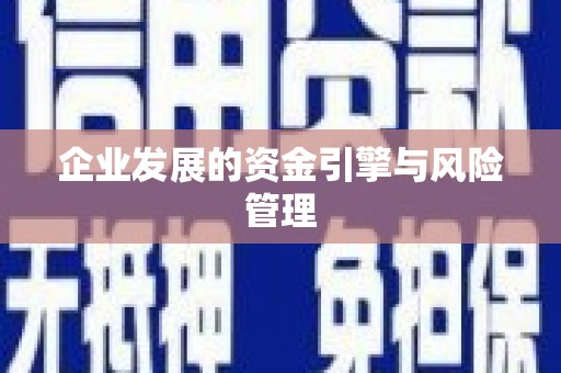 上城企业发展的资金引擎与风险管理
