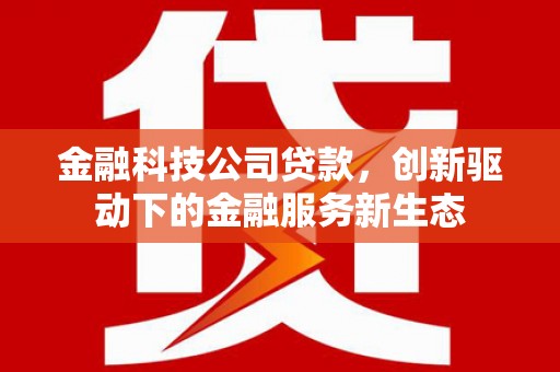 白山金融科技公司贷款，创新驱动下的金融服务新生态