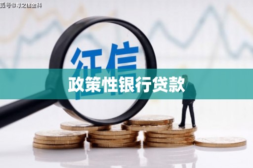 江海政策性银行贷款