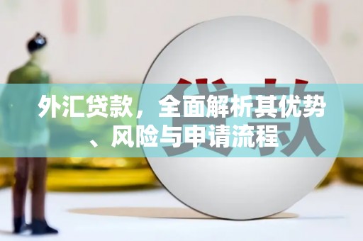 皋兰外汇贷款，全面解析其优势、风险与申请流程