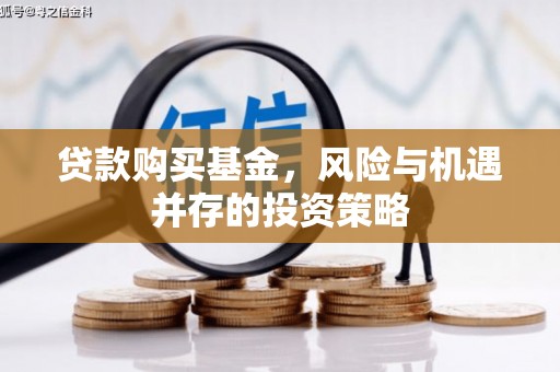 杂多贷款购买基金，风险与机遇并存的投资策略