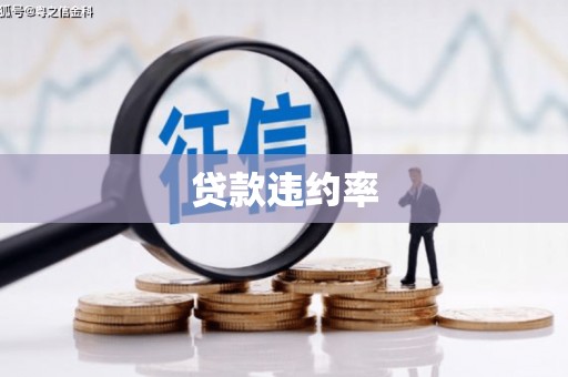 哈尔滨贷款违约率