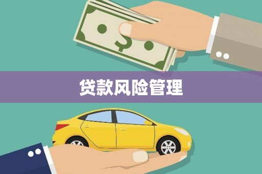 文安贷款风险管理