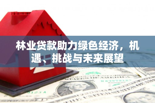 宽甸林业贷款助力绿色经济，机遇、挑战与未来展望