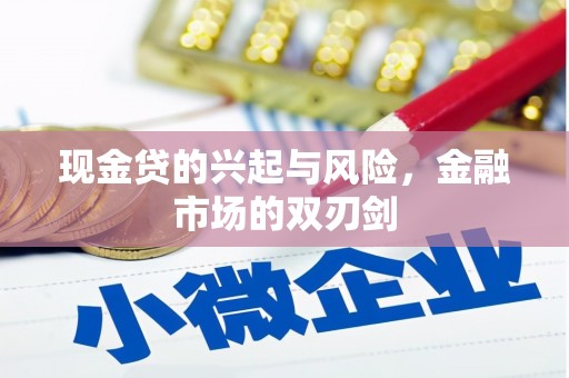 濮阳现金贷的兴起与风险，金融市场的双刃剑