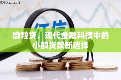松溪微粒贷，现代金融科技中的小额贷款新选择