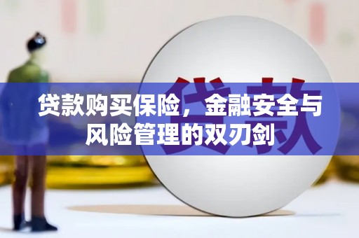 武邑贷款购买保险，金融安全与风险管理的双刃剑