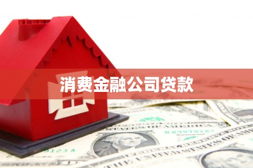 东凤消费金融公司贷款