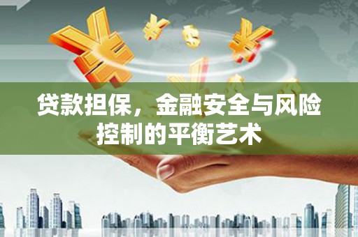 定远贷款担保，金融安全与风险控制的平衡艺术