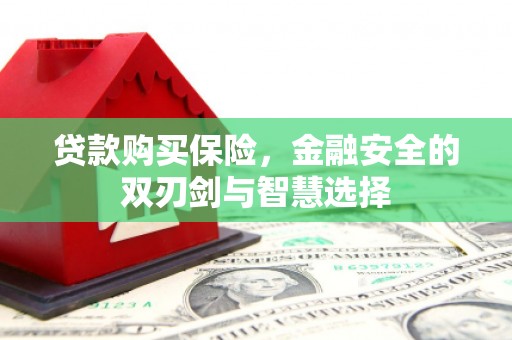 武清贷款购买保险，金融安全的双刃剑与智慧选择