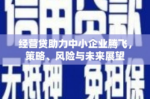 商州经营贷助力中小企业腾飞，策略、风险与未来展望