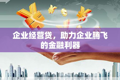 响水企业经营贷，助力企业腾飞的金融利器