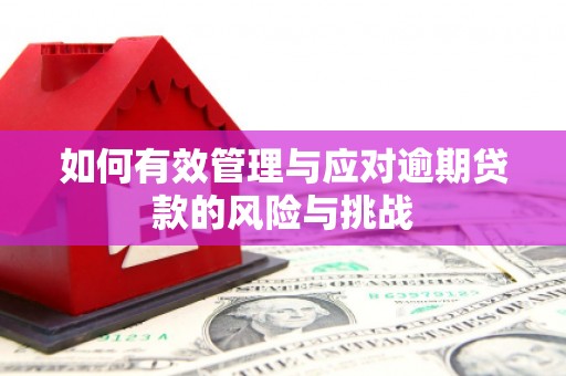 丹徒如何有效管理与应对逾期贷款的风险与挑战