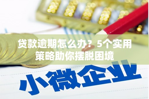 泰顺贷款逾期怎么办？5个实用策略助你摆脱困境