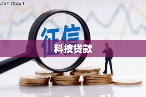 仑背科技贷款