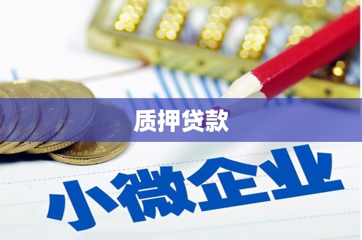 隰县质押贷款