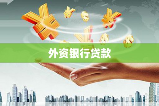 新乡外资银行贷款
