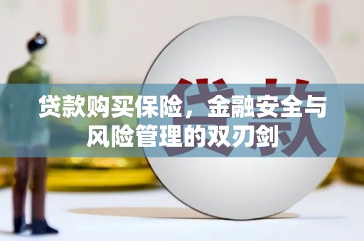 山海关贷款购买保险，金融安全与风险管理的双刃剑