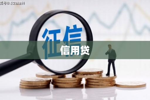 宜州信用贷
