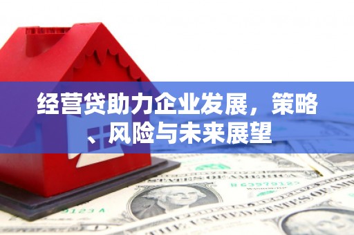 两当经营贷助力企业发展，策略、风险与未来展望