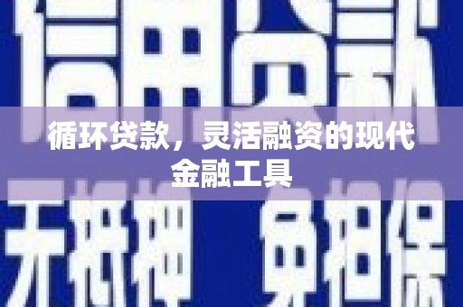 林甸循环贷款，灵活融资的现代金融工具