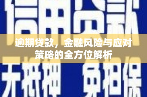 林园逾期贷款，金融风险与应对策略的全方位解析