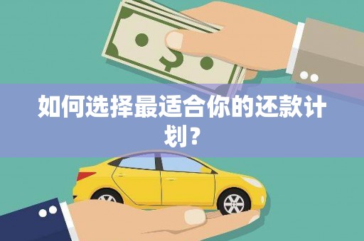 金峰如何选择最适合你的还款计划？