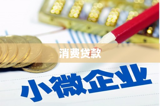 盐田消费贷款