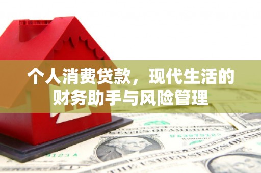 太保个人消费贷款，现代生活的财务助手与风险管理