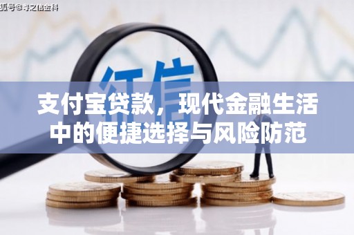 颍泉支付宝贷款，现代金融生活中的便捷选择与风险防范