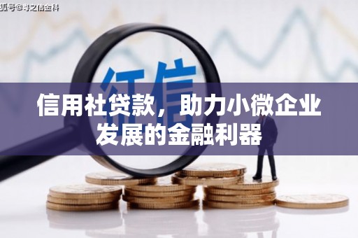 新河信用社贷款，助力小微企业发展的金融利器