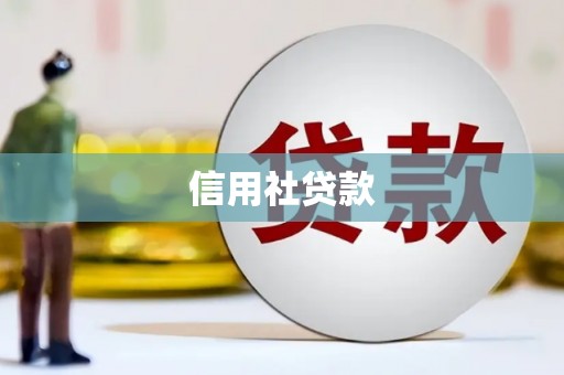 开平信用社贷款