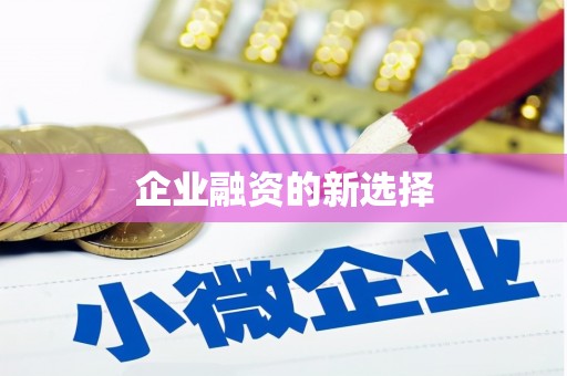 师宗企业融资的新选择