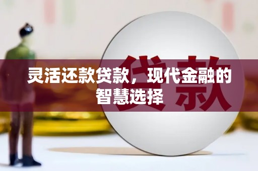宾阳灵活还款贷款，现代金融的智慧选择