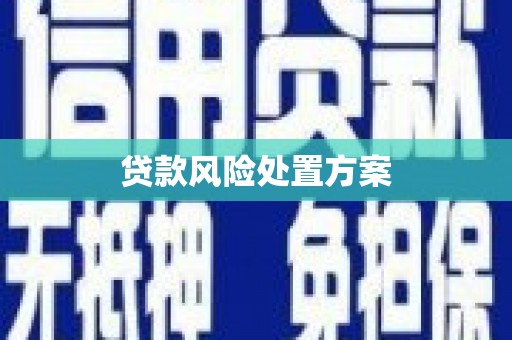 裕华贷款风险处置方案