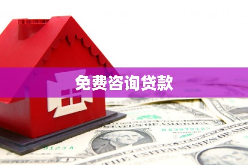 新河免费咨询贷款