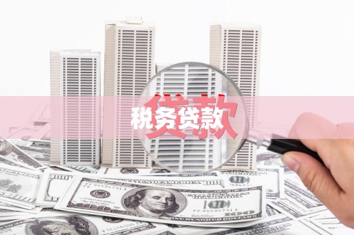 龙江税务贷款