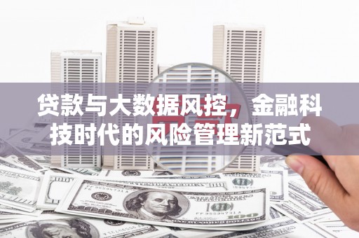 沈河贷款与大数据风控，金融科技时代的风险管理新范式