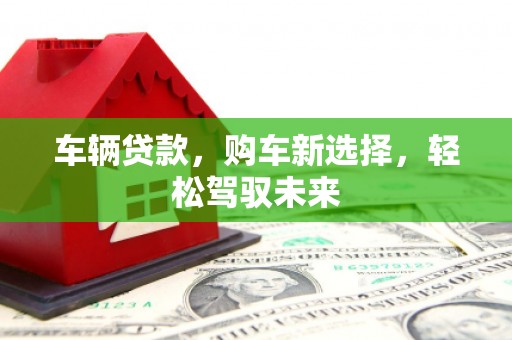 浦东车辆贷款，购车新选择，轻松驾驭未来