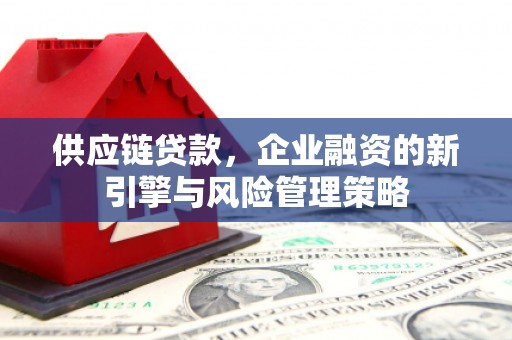安乐供应链贷款，企业融资的新引擎与风险管理策略