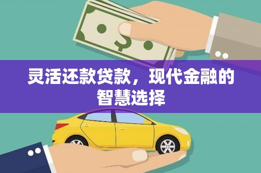 芦洲灵活还款贷款，现代金融的智慧选择