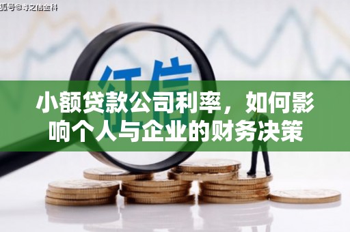 公安小额贷款公司利率，如何影响个人与企业的财务决策