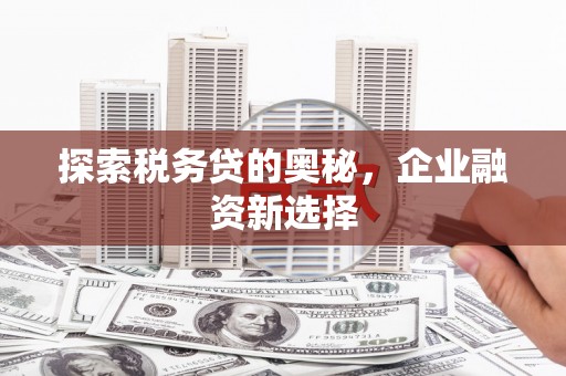 米林探索税务贷的奥秘，企业融资新选择