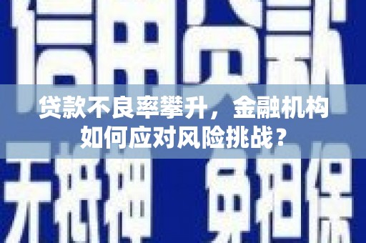 南县贷款不良率攀升，金融机构如何应对风险挑战？